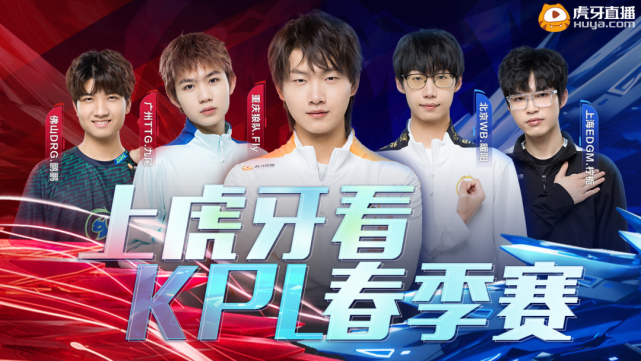 术进行了细 术进行了细